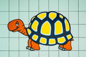 Comic-Schildkröte mit gelb-blauem Panzer auf kariertem Hintergrund.